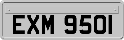 EXM9501