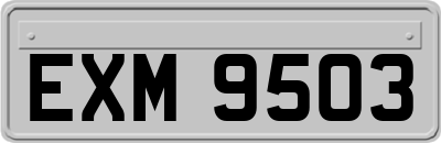 EXM9503