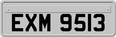EXM9513