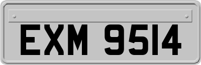EXM9514