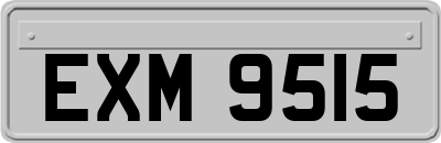 EXM9515