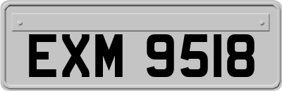 EXM9518