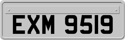 EXM9519