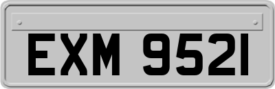 EXM9521