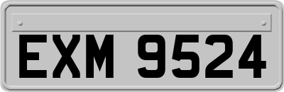 EXM9524