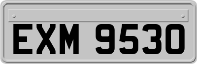EXM9530
