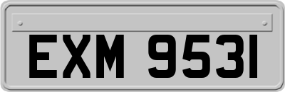 EXM9531