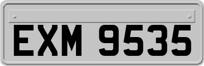 EXM9535