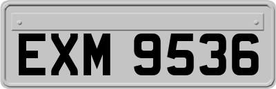 EXM9536