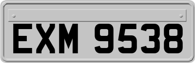 EXM9538