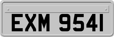 EXM9541