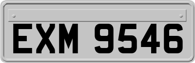 EXM9546