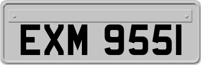 EXM9551