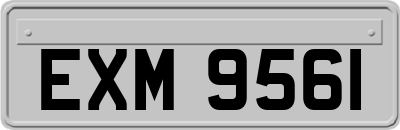 EXM9561