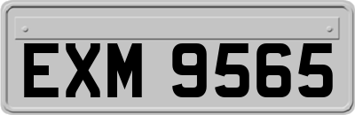 EXM9565