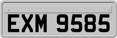 EXM9585