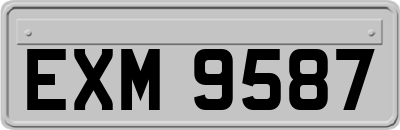 EXM9587