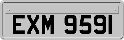 EXM9591
