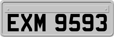 EXM9593