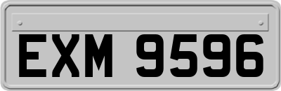 EXM9596