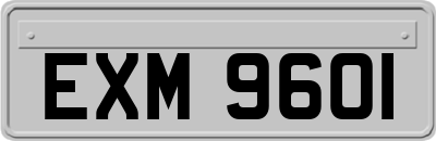 EXM9601
