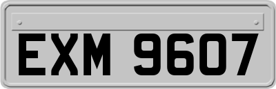 EXM9607