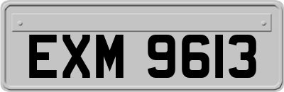 EXM9613
