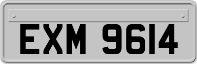 EXM9614