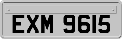 EXM9615