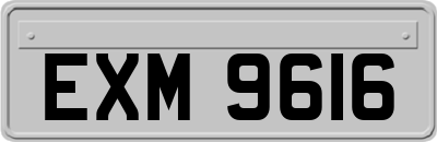 EXM9616