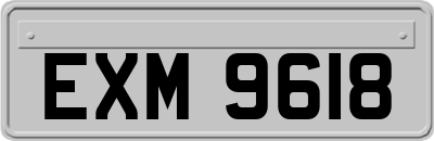 EXM9618