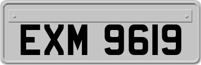 EXM9619