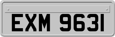 EXM9631