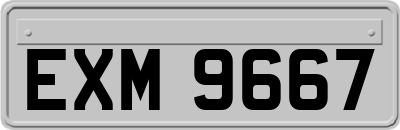 EXM9667