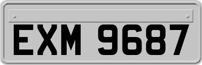 EXM9687