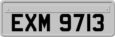 EXM9713
