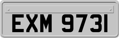 EXM9731