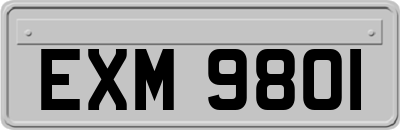 EXM9801