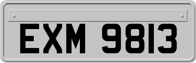 EXM9813
