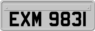EXM9831