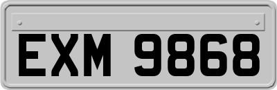 EXM9868