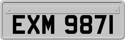 EXM9871