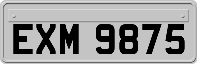 EXM9875