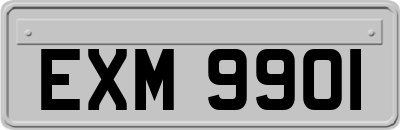 EXM9901