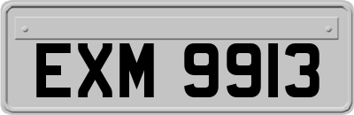 EXM9913