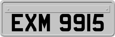 EXM9915