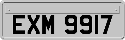 EXM9917