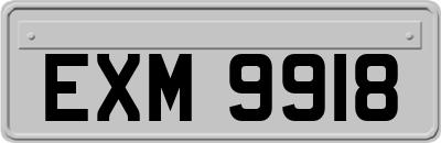 EXM9918