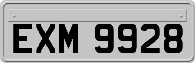 EXM9928