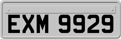 EXM9929
